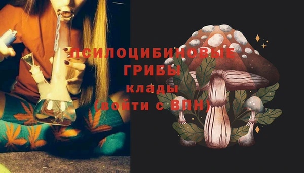 твердый Куйбышев