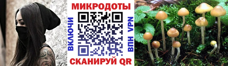Купить закладки  Белозерск  Галлюциногенные грибы Psilocybine cubensis 